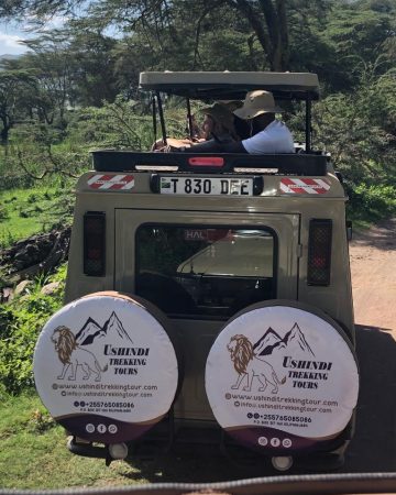 Safaris Packages